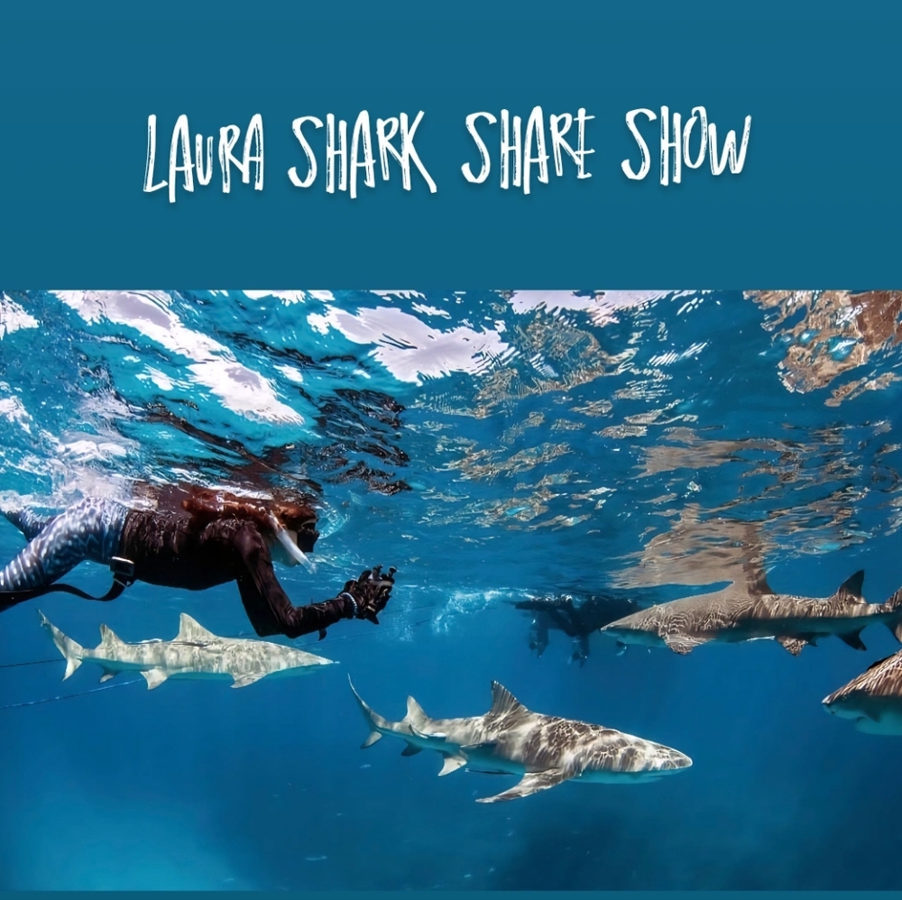 Live Share Show With Laura Shark